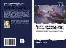 Трехлетний план участия - Вилла-Мария 2013/2014 kitap kapağı