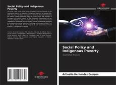 Capa do livro de Social Policy and Indigenous Poverty 