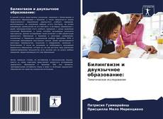Билингвизм и двуязычное образование: kitap kapağı