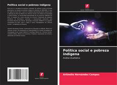 Política social e pobreza indígena的封面