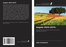 Portada del libro de Angola 2025-2075: