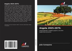 Angola 2025-2075: kitap kapağı