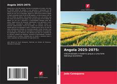 Обложка Angola 2025-2075: