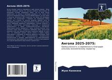 Ангола 2025-2075:的封面