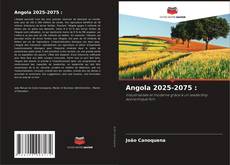 Couverture de Angola 2025-2075 :