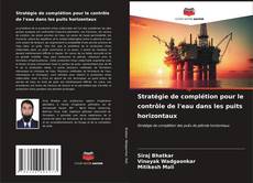 Bookcover of Stratégie de complétion pour le contrôle de l'eau dans les puits horizontaux