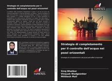 Bookcover of Strategia di completamento per il controllo dell'acqua nei pozzi orizzontali