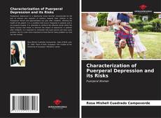Capa do livro de Characterization of Puerperal Depression and its Risks 
