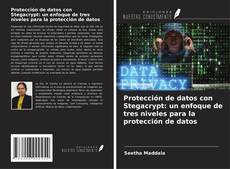 Portada del libro de Protección de datos con Stegacrypt: un enfoque de tres niveles para la protección de datos