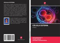 Bookcover of CÉLULA ESTEMA