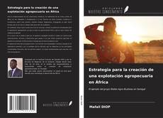 Buchcover von Estrategia para la creación de una explotación agropecuaria en África