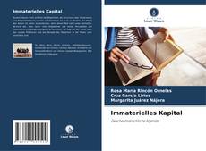 Immaterielles Kapital kitap kapağı