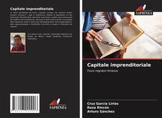 Capitale imprenditoriale kitap kapağı