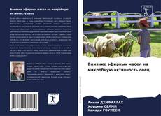 Bookcover of Влияние эфирных масел на микробную активность овец