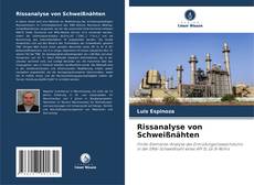 Capa do livro de Rissanalyse von Schweißnähten 