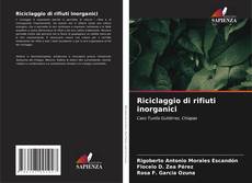 Bookcover of Riciclaggio di rifiuti inorganici