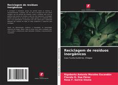 Buchcover von Reciclagem de resíduos inorgânicos