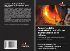Bookcover of Aumento della produttività nell'officina di produzione delle caldaie:
