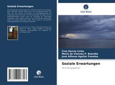 Bookcover of Soziale Erwartungen