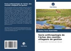 Bookcover of Socio anthropologie de l'échec des comités villageois de gestion