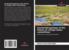 Buchcover von Socioanthropology of the failure of village water committees
