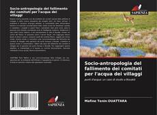 Couverture de Socio-antropologia del fallimento dei comitati per l'acqua dei villaggi
