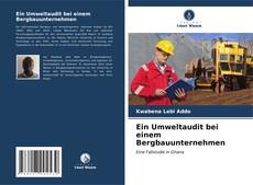 Portada del libro de Ein Umweltaudit bei einem Bergbauunternehmen