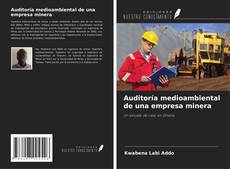 Buchcover von Auditoría medioambiental de una empresa minera