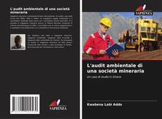 Capa do livro de L'audit ambientale di una società mineraria 