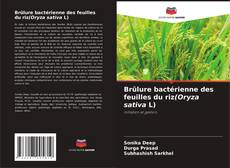 Bookcover of Brûlure bactérienne des feuilles du riz(Oryza sativa L)