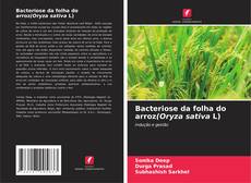 Borítókép a  Bacteriose da folha do arroz(Oryza sativa L) - hoz