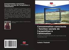 Bookcover of Consommation consciente : fonction sociale de l'acquisition à l'élimination
