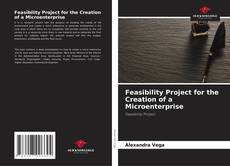 Couverture de Feasibility Project for the Creation of a Microenterprise