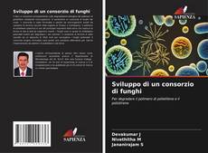 Buchcover von Sviluppo di un consorzio di funghi