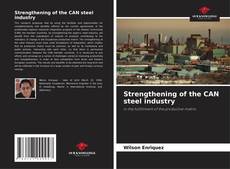 Strengthening of the CAN steel industry kitap kapağı