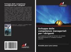 Bookcover of Sviluppo delle competenze manageriali per i dirigenti