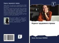Buchcover von Курсы трудового права