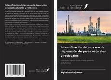 Buchcover von Intensificación del proceso de depuración de gases naturales y residuales