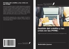 Buchcover von Gestión del crédito y las crisis en las PYME: