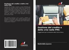 Couverture de Gestione del credito e delle crisi nelle PMI: