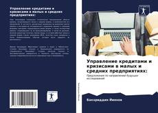 Buchcover von Управление кредитами и кризисами в малых и средних предприятиях:
