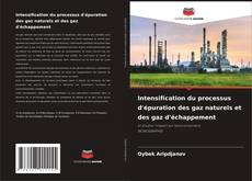 Buchcover von Intensification du processus d'épuration des gaz naturels et des gaz d'échappement