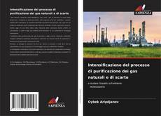 Bookcover of Intensificazione del processo di purificazione dei gas naturali e di scarto