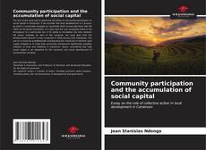 Community participation and the accumulation of social capital的封面