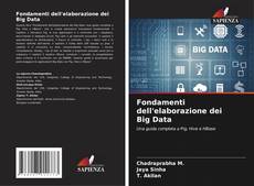 Bookcover of Fondamenti dell'elaborazione dei Big Data