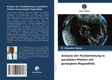 Analyse der Fluidströmung in parallelen Platten mit geneigtem Magnetfeld kitap kapağı