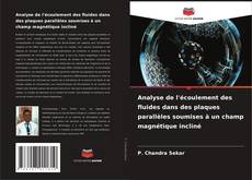 Copertina di Analyse de l'écoulement des fluides dans des plaques parallèles soumises à un champ magnétique incliné