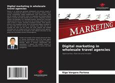 Capa do livro de Digital marketing in wholesale travel agencies 