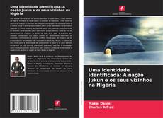 Capa do livro de Uma identidade identificada: A nação Jukun e os seus vizinhos na Nigéria 