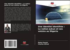 Capa do livro de Une identité identifiée : La nation Jukun et ses voisins au Nigeria 